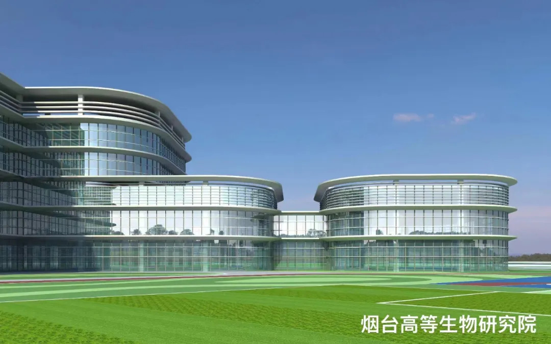 大跨度 高精度 超節(jié)能|鳳鋁助力煙臺城市更新，展登州新貌